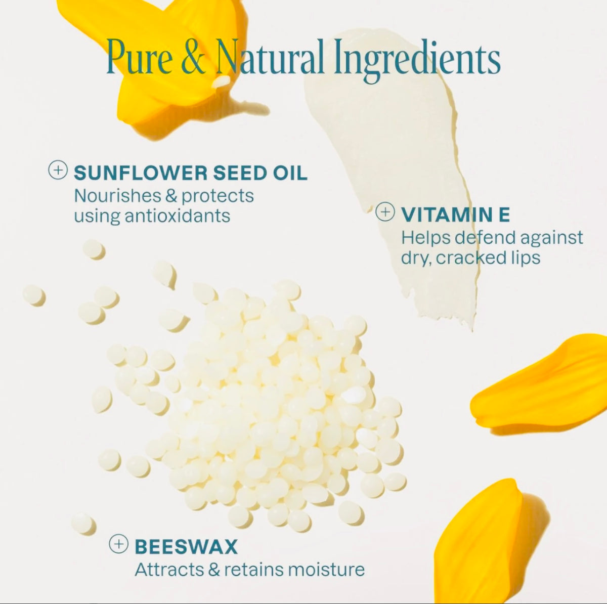 Lip balm organic