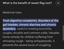 Load image into Gallery viewer, Calamus root