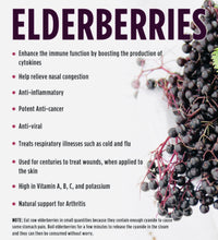 Load image into Gallery viewer, Black Elderberries Organic European dried