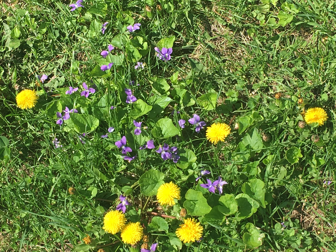 Lose your type 2 diabetes diagnosis