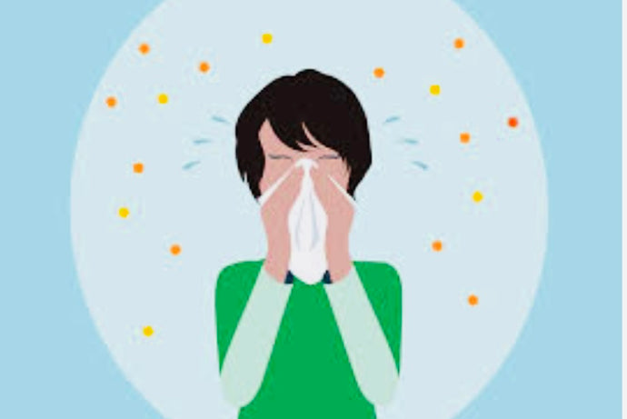 What is in your allergy/asthma medication?