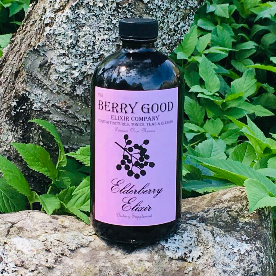 HOW do Elderberries stop viruses from getting into your healthy cells