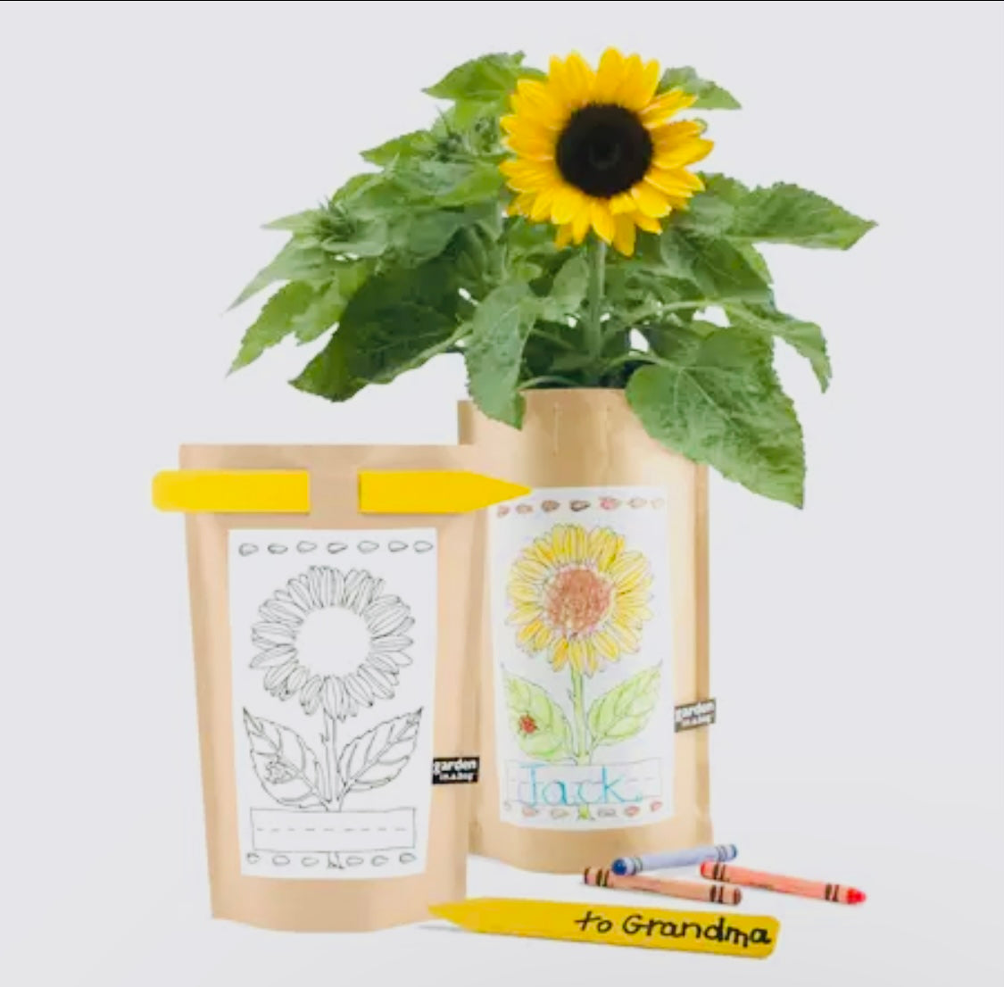 Garden in a bag