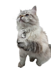 Load image into Gallery viewer, Pet EMF Defense Pendant