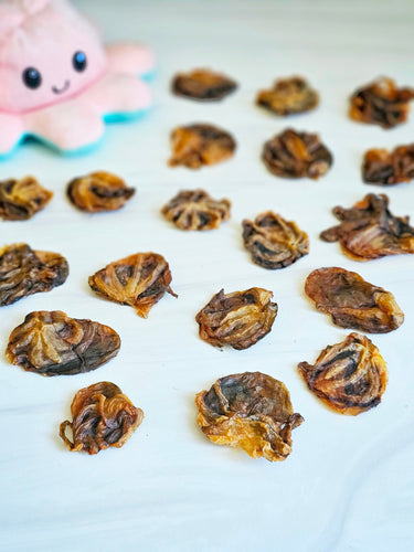 Baby Octopus (Wild Caught)