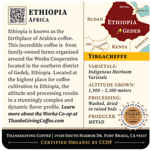 Load image into Gallery viewer, Ethiopia Yirgacheffe - Gedeb, Worka co-op