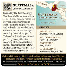 Load image into Gallery viewer, Guatemala Light Roast