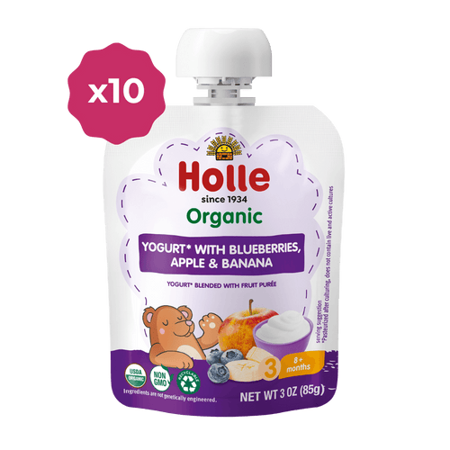 Holle Organic Yogurt Pouches - Blueberries, Apple & Banana