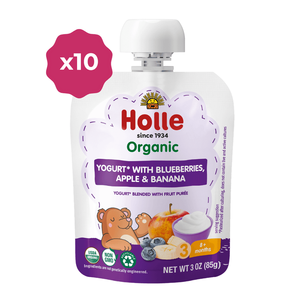Holle Organic Yogurt Pouches - Blueberries, Apple & Banana