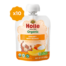 Load image into Gallery viewer, Holle Organic Yogurt Pouches - Mango