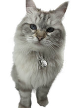 Load image into Gallery viewer, Pet EMF Defense Pendant