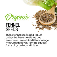 Load image into Gallery viewer, Organic Fennel Seeds
