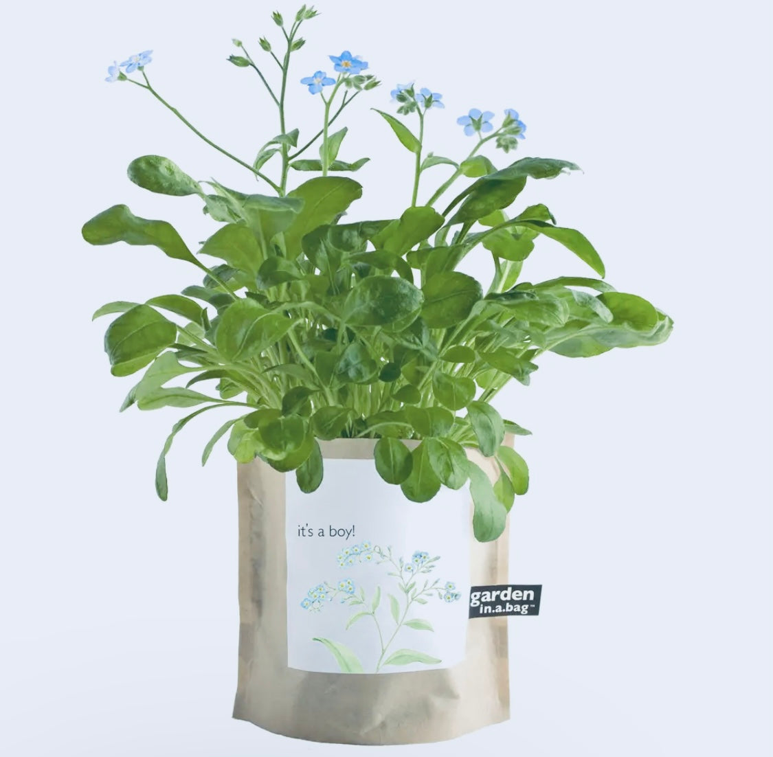 Garden in a bag