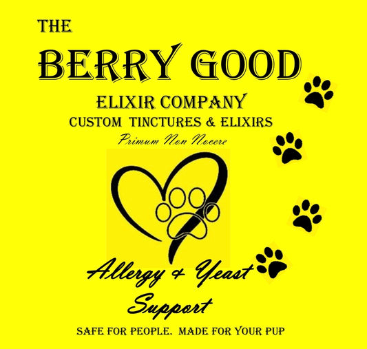 Allergy + Yeast Chew for Dogs