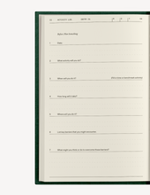 Load image into Gallery viewer, The Field Guide for Depression
