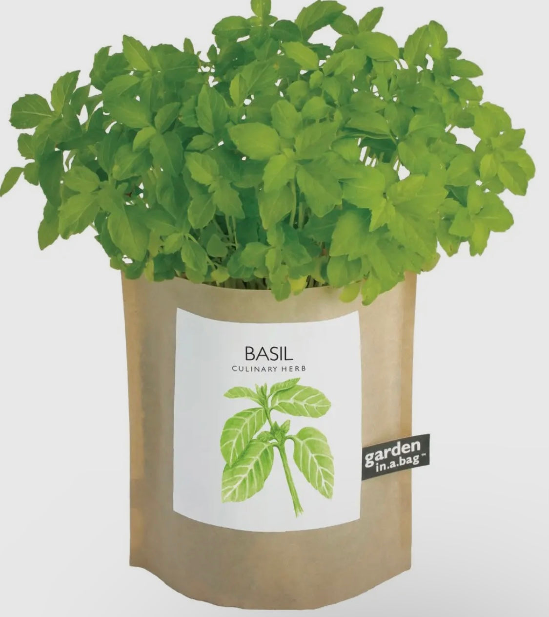 Garden in a bag