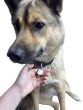 Load image into Gallery viewer, Pet EMF Defense Pendant