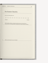 Load image into Gallery viewer, The Therapy Journal