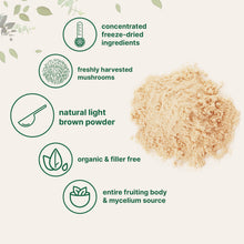 Load image into Gallery viewer, Micro Ingredients Organic Lions Mane Mushroom Supplement Powder, 16 Ounce | Natural Superfood for Brain, Energy, &amp; Immune Health | Non-GMO Vegan