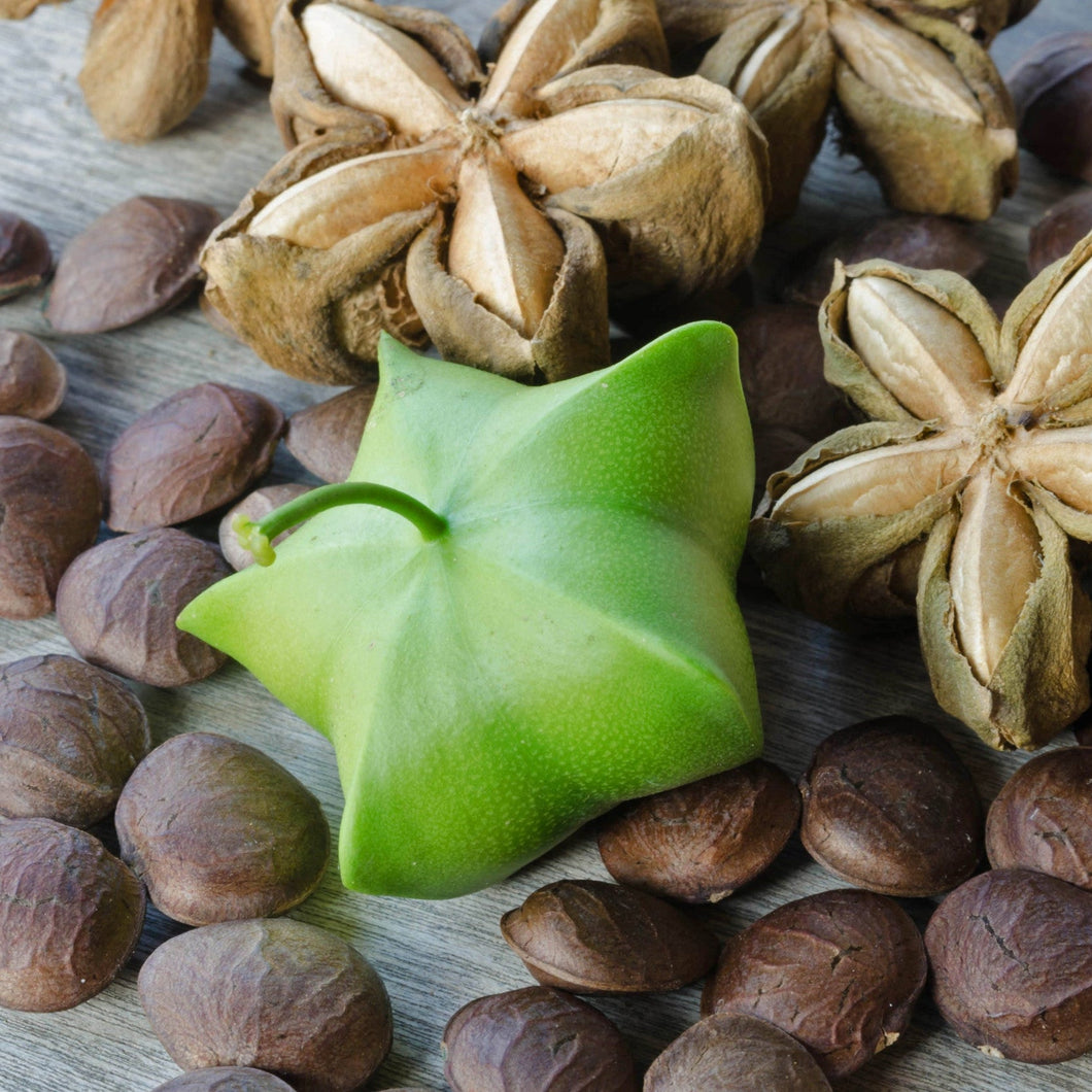 Sacha Inchi Oil - Virgin Organic