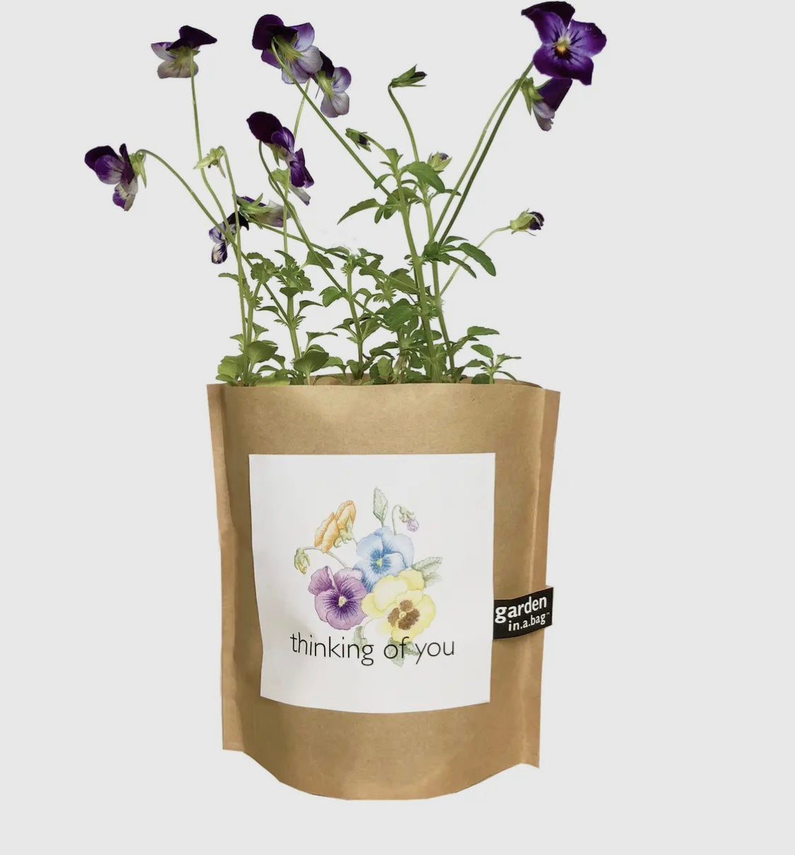 Garden in a bag