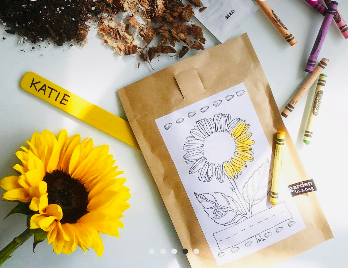 Garden in a bag