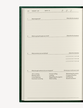Load image into Gallery viewer, The Field Guide for Depression