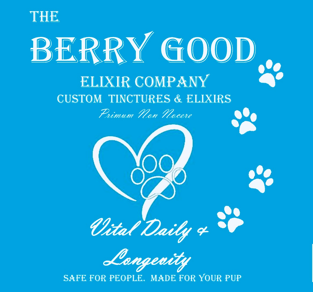 Vital Daily & Longevity Supplement Chews for Dogs