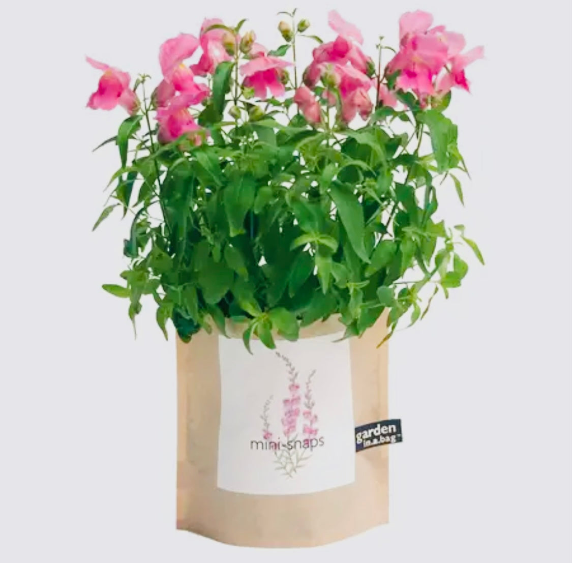 Garden in a bag
