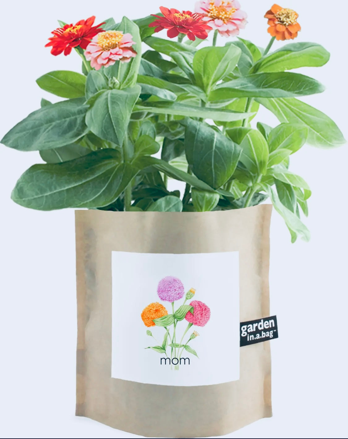 Garden in a bag