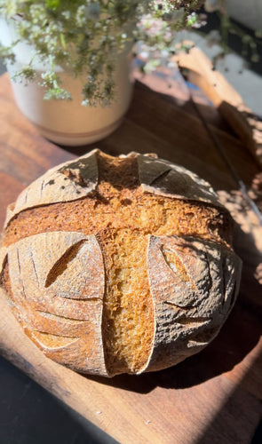 Organic Gluten Free Dehydrated Sourdough Starter