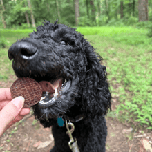 Load image into Gallery viewer, Beef Chips Dog Treats | Single-Ingredient Healthy Treats for Dogs