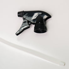 Load image into Gallery viewer, 16 oz Stainless Steel Keeper Bottle | Spray Nozzle