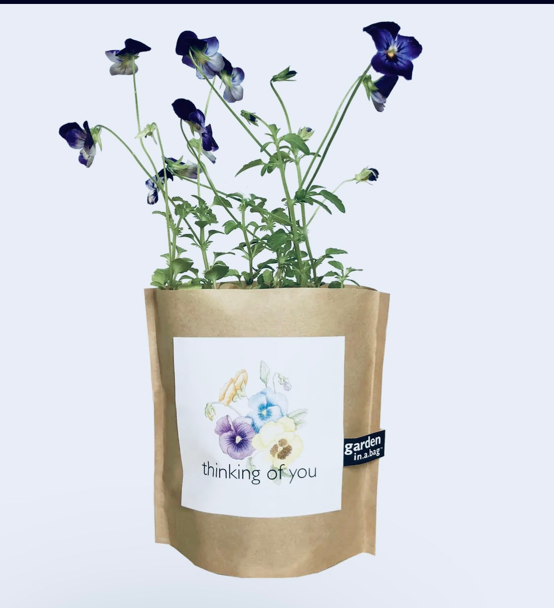 Garden in a bag