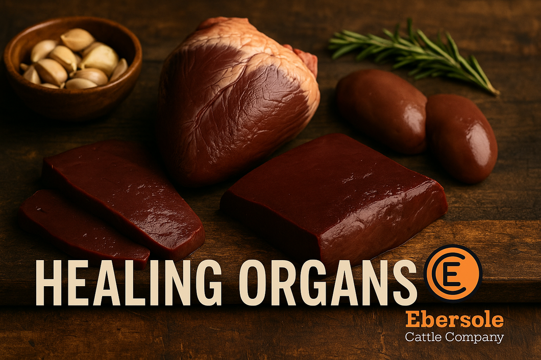 Healing Organs Bundle