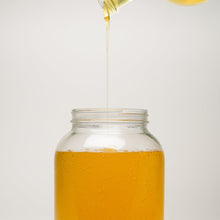 Load image into Gallery viewer, Castile Soap - Ultra Concentrate | Unscented