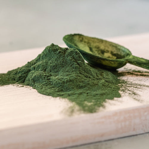 Chlorella Powder - Organic
