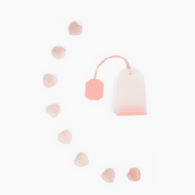 Load image into Gallery viewer, Fertile Mama Travel Pack