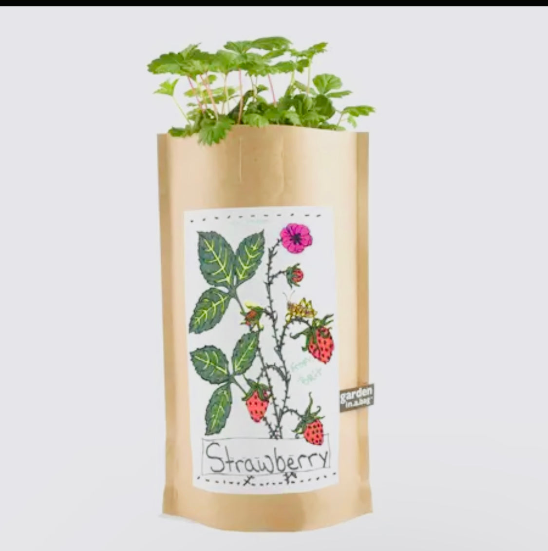 Garden in a bag