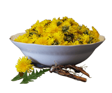 Load image into Gallery viewer, Dandelion Root, Organic, Cut, Sifted