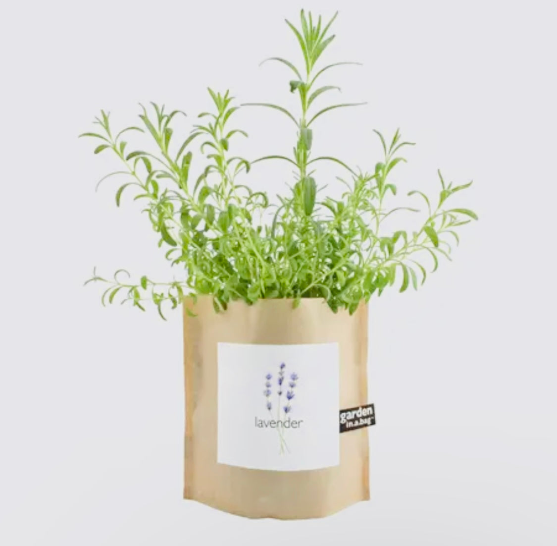 Garden in a bag