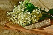 Load image into Gallery viewer, Elderflowers, Whole, Organic