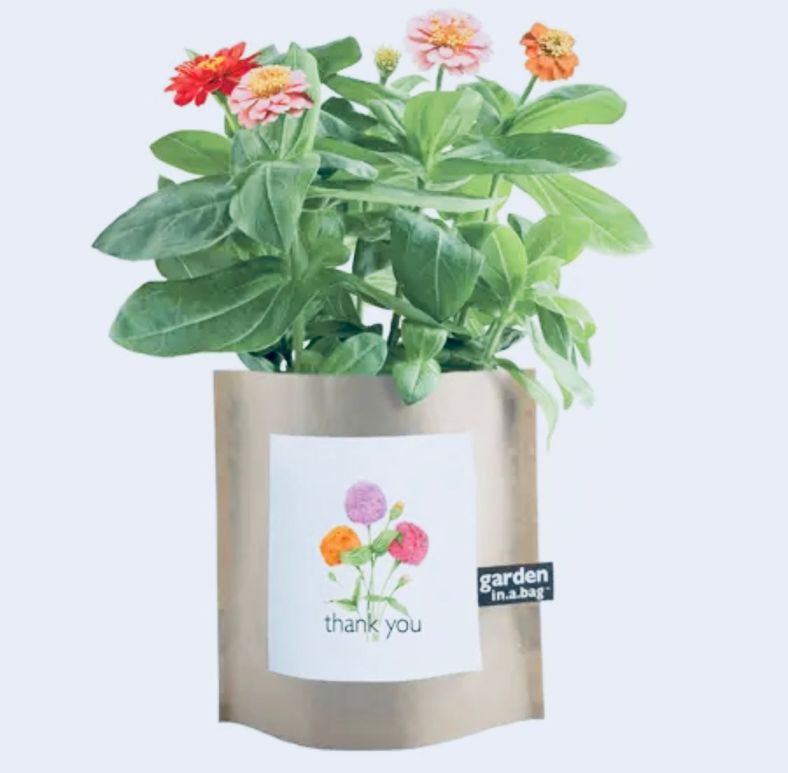 Garden in a bag