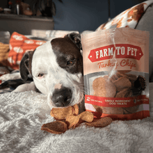 Load image into Gallery viewer, Turkey Chips for Dogs | All-Natural Single-Ingredient Healthy Dog Treats