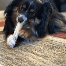 Load image into Gallery viewer, Elk Antler Dog Chews | All-Natural Whole and Split Elk Antler Chews for Dogs
