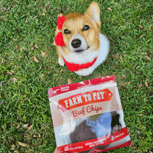 Load image into Gallery viewer, Beef Chips Snack Pack Bundles | Dog Treats for Training &amp; Travel