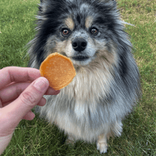 Load image into Gallery viewer, Chicago Chicken Chips for Dogs | Dog Treats To Celebrate Our Hometown
