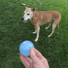 Load image into Gallery viewer, Dog Fetch Balls
