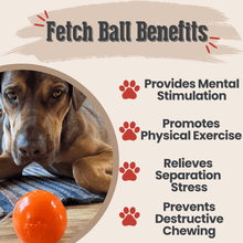 Load image into Gallery viewer, Dog Fetch Balls