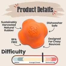 Load image into Gallery viewer, Dog Fetch Balls